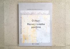 O žbuci. Razvoj i izvedba površina 