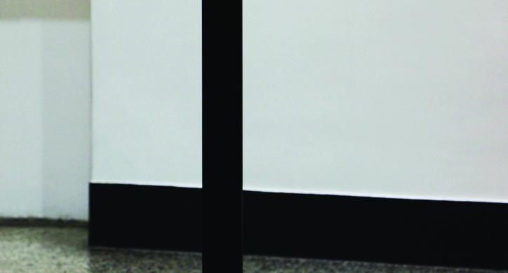 Omnibus: Neven Šegvić