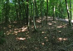 Analiza i procjena stanja zaštite arheoloških nalazišta Sesveta - prilog metodi analize i procjene u kontekstu integralne zaštite