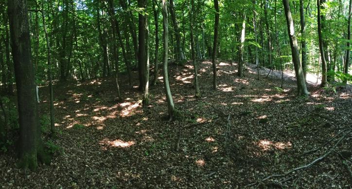 Analiza i procjena stanja zaštite arheoloških nalazišta Sesveta - prilog metodi analize i procjene u kontekstu integralne zaštite