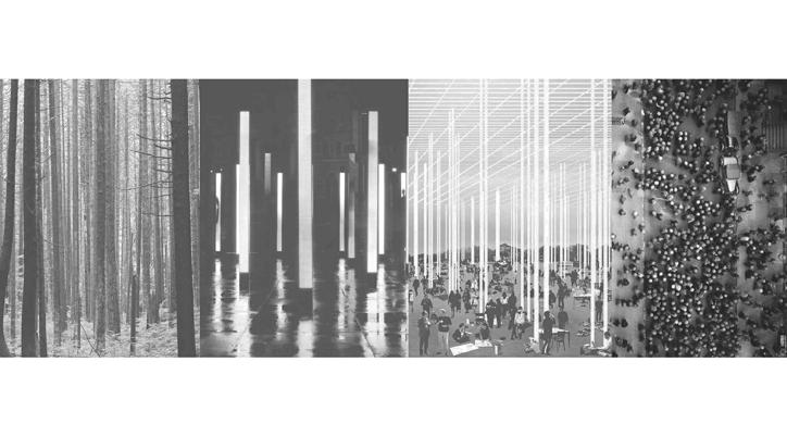 Višeznačna struktura