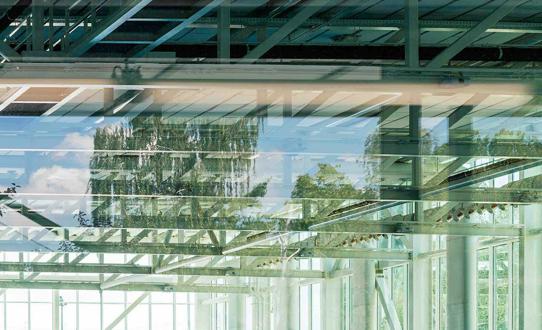 Bazenski kompleks Svetice