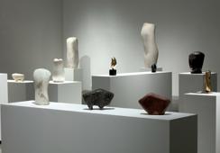 Svjetlonosne forme - likovni postav izložbe