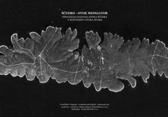 Sćedro - Otok medijator - Strategija razvoja otoka Šćedra u kontekstu otoka Hvara