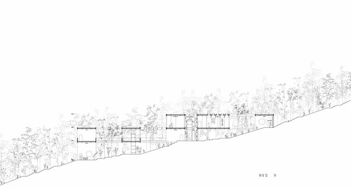 Kontinentalni arhipelag: Botanička galerija Velika