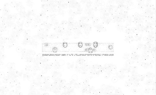 Astronomski observatorij   /rektorova nagrada/