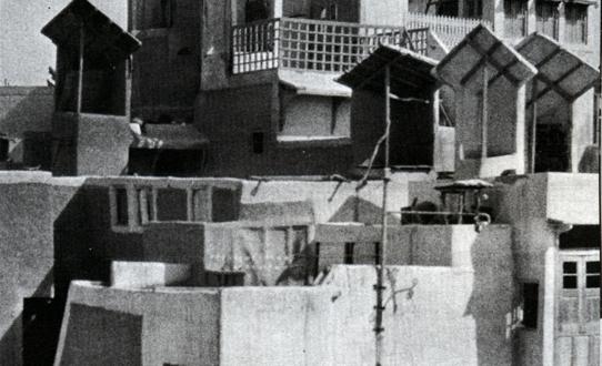 Održivost u vernakularoj arhitekturi - Arhitektura bez arhitekata