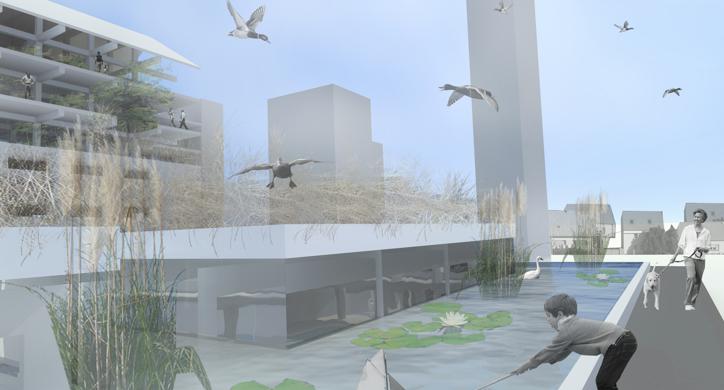 Gradska soba: Prerada Bjelovar /rektorova nagrada/