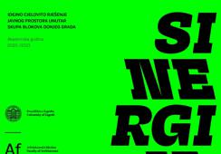 Sinergija - idejno cjelovito rješenje javnog prostora unutar skupa blokova Donjeg Grada