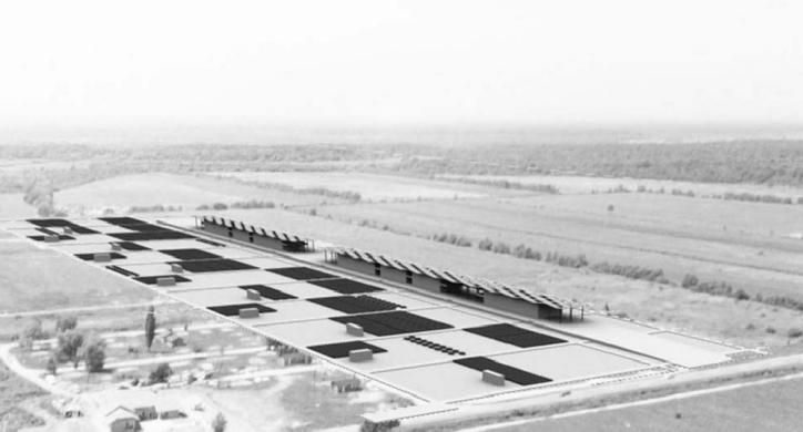 Arhitektonska topografija identiteta