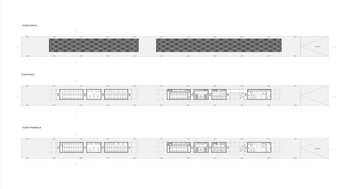 Arhitektonska topografija identiteta