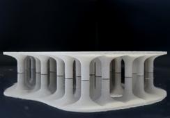 Arhitektonika maslinika