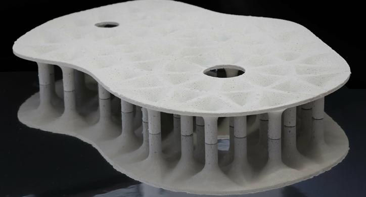 Arhitektonika maslinika