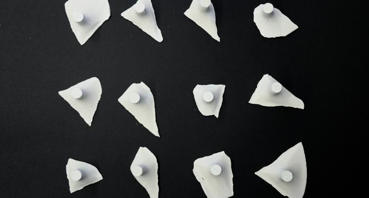 Arhitektonika maslinika