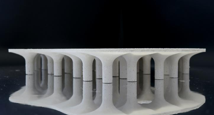 Arhitektonika maslinika