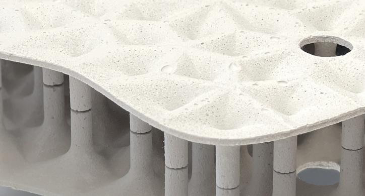 Arhitektonika maslinika