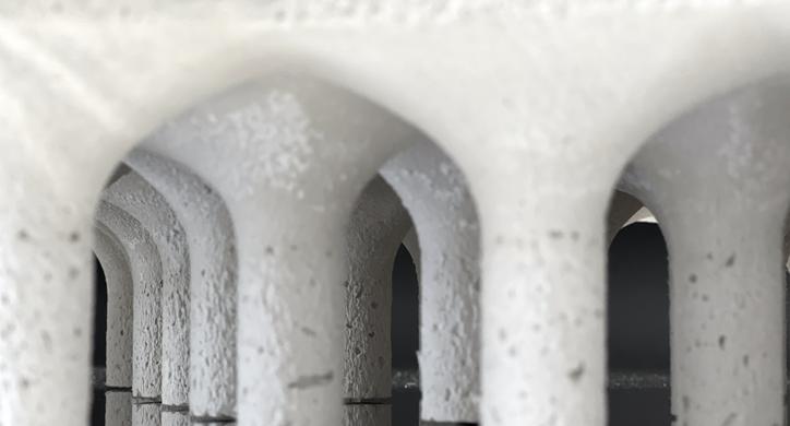 Arhitektonika maslinika