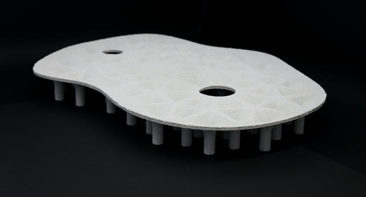 Arhitektonika maslinika