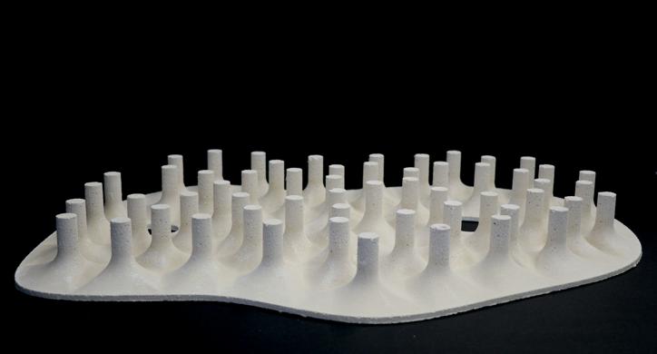 Arhitektonika maslinika