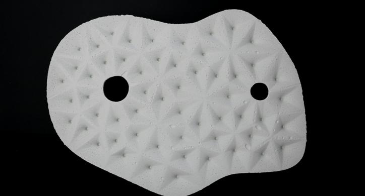 Arhitektonika maslinika