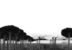 Pilana i pogon za proizvodnju drvene građe, Križevci