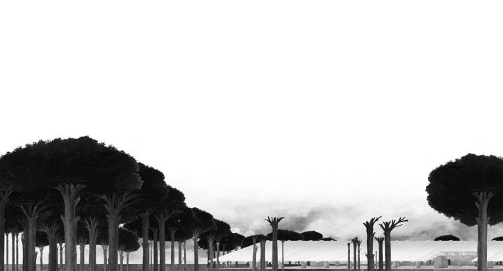 Pilana i pogon za proizvodnju drvene građe, Križevci