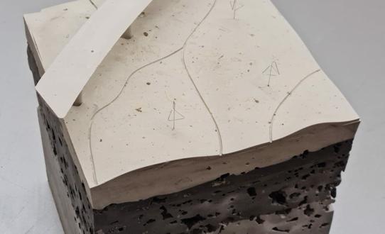 Savska naplavina - renaturacija jugozapadne obale rijeke Save na području Zagreba