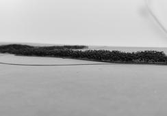 Biološki koridor rijeke Plitvice