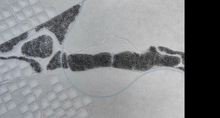 Biološki koridor rijeke Plitvice