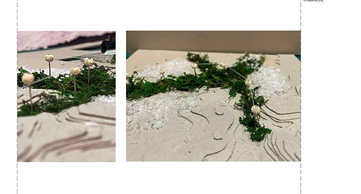 Zelene Samoborske arterije