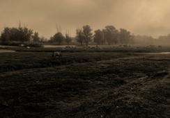 Mia Roth i Tonči Čerina povjerenici hrvatskog nastupa na Venecijanskom bijenalu