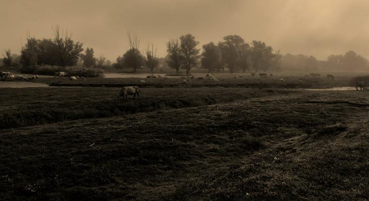 Mia Roth i Tonči Čerina povjerenici hrvatskog nastupa na Venecijanskom bijenalu