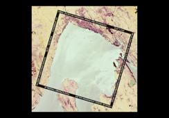 Poziv na završnu izložbu kolegija R AP 1