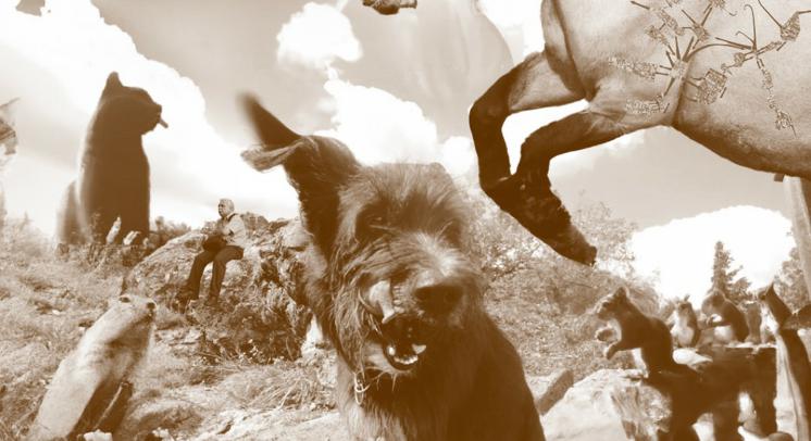 Poziv na prijave na radionice Paraintelligence i Feral Drifting