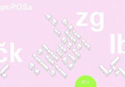 Predavanje Mirka Buvinića "2ipo POSa" 