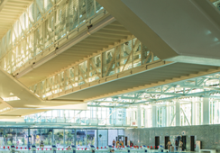 Izložba Vjere Bakić 18.4. na trećem katu AF