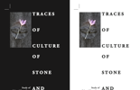 Aljoša Kotnjek: 'Traces of Culture of Stone and Flower in Ravnikar's Design', predavanje 6.11. u 16, predavaonica 317