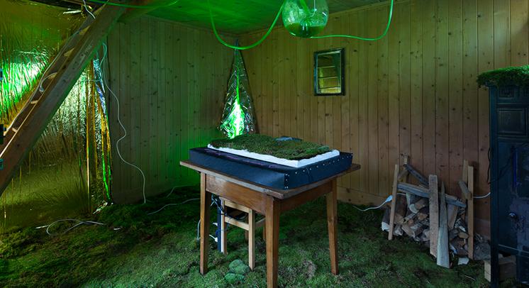 Harriet Harriss: Interior Futures - the Edge of the Anthropocene, 19.11.2020. u 14h