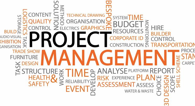 Upravljanje projektima